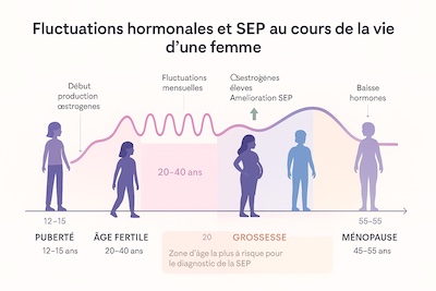 timeline-fluctuations-hormonales-vie-femme-sep Timeline illustrant les fluctuations hormonales féminines tout au long de la vie : puberté, cycles menstruels, grossesse, post-accouchement et ménopause, et leur impact sur la SEP